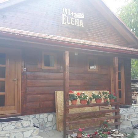 Pensiunea Tarina Suncuius Bagian luar foto