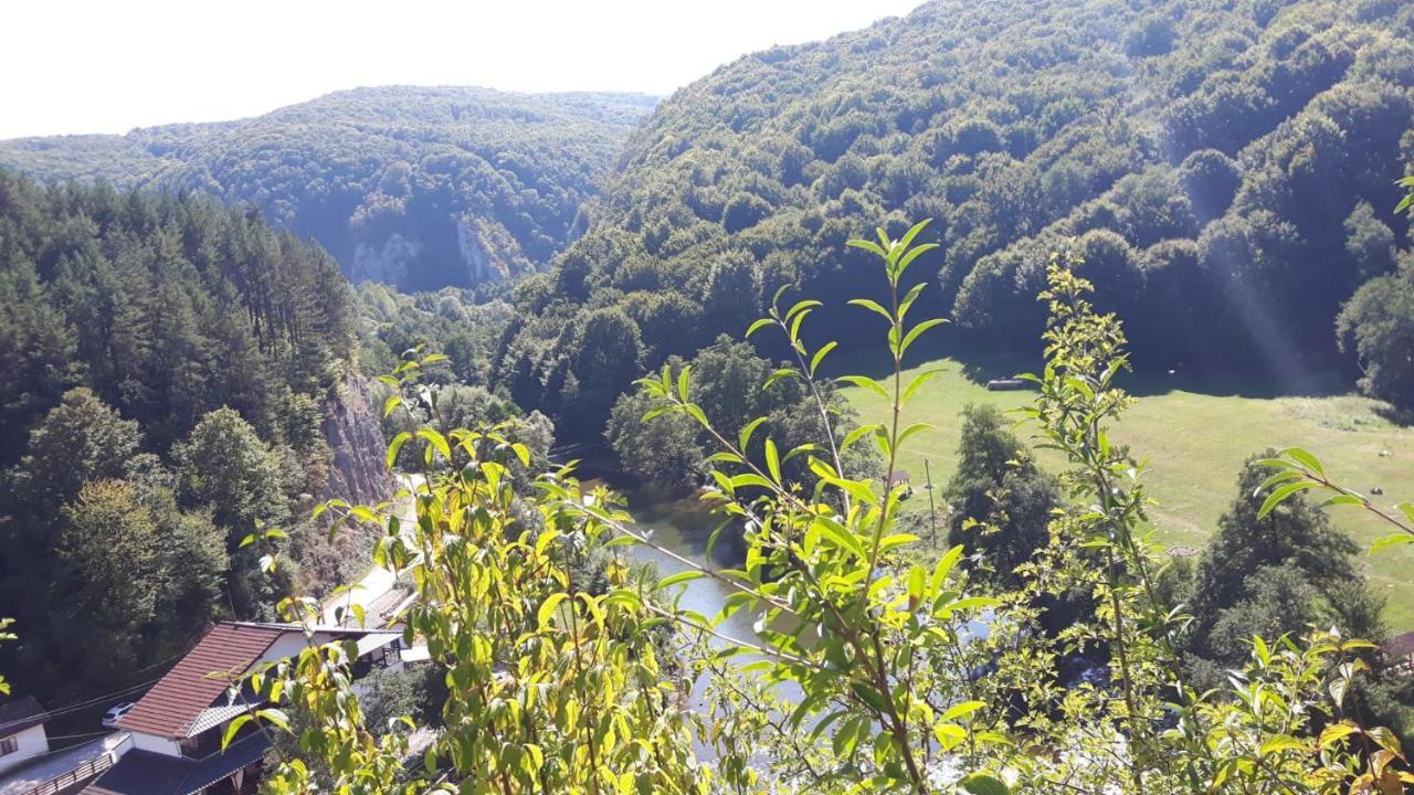 Pensiunea Tarina Suncuius Bagian luar foto