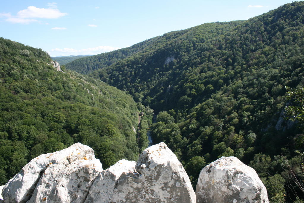 Pensiunea Tarina Suncuius Bagian luar foto