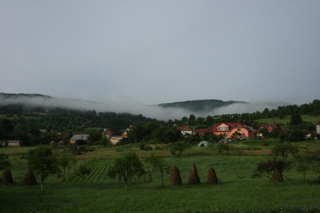 Pensiunea Tarina Suncuius Bagian luar foto