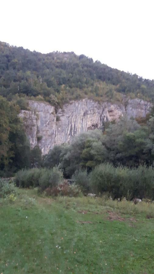 Pensiunea Tarina Suncuius Bagian luar foto